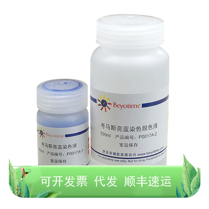 考马斯亮蓝染色试剂盒(常规法)