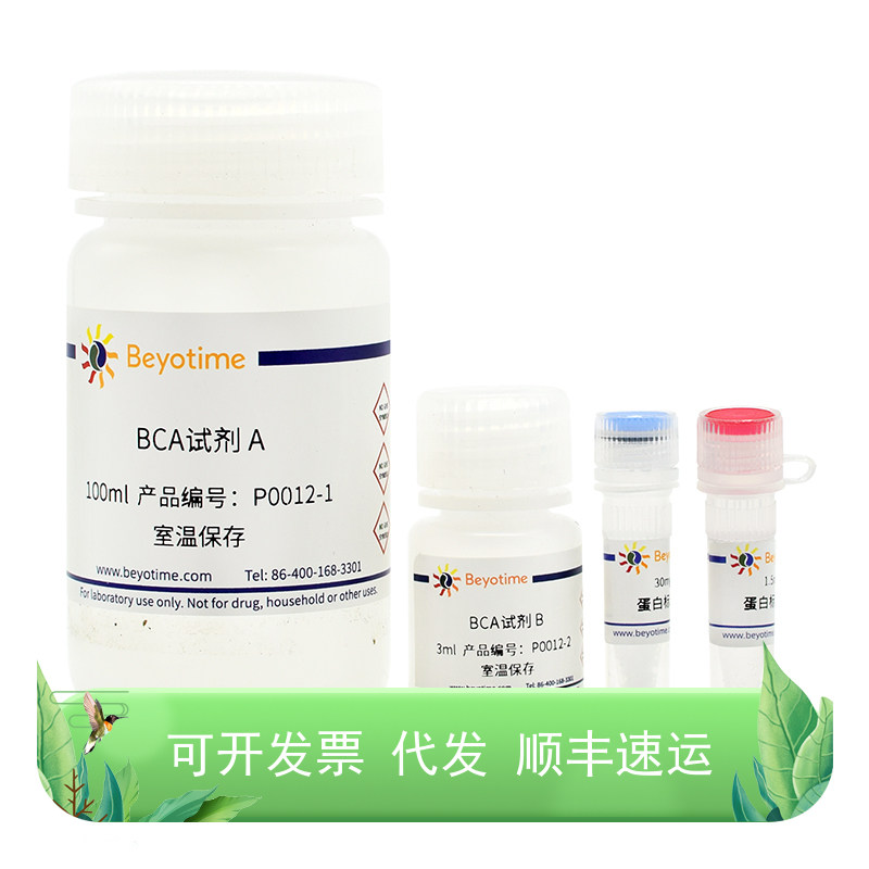 BCA蛋白浓度测定试剂盒
