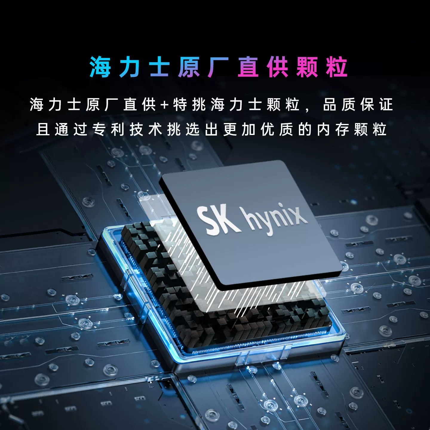 Team Group DDR5 memory 6000MHz Hynix desktop memory 64GB dwarf