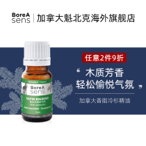 Canadian BoreA Sens Aromatic Spruce Spruce Single - sided Oil Aroma Extended Household Bedroom