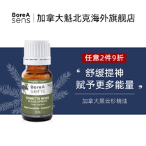 Canadian BoreA Sens black spruce mono - square oil aroma scales home for indoor soothing remission