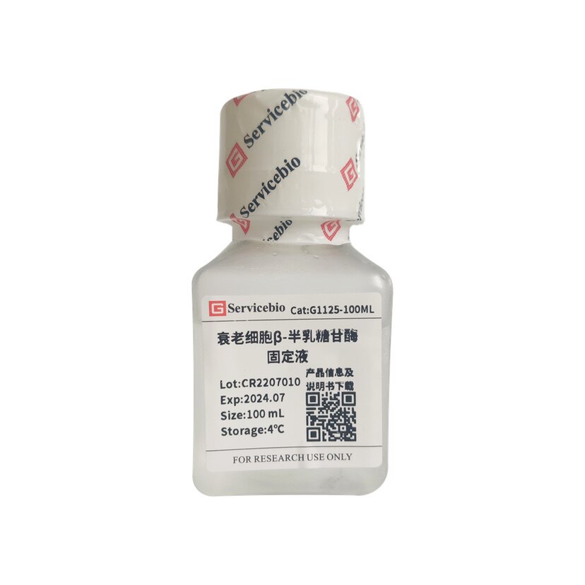Servicebio 衰老细胞&beta;-半乳糖苷酶固定液 适于固定&beta;-半乳糖苷酶