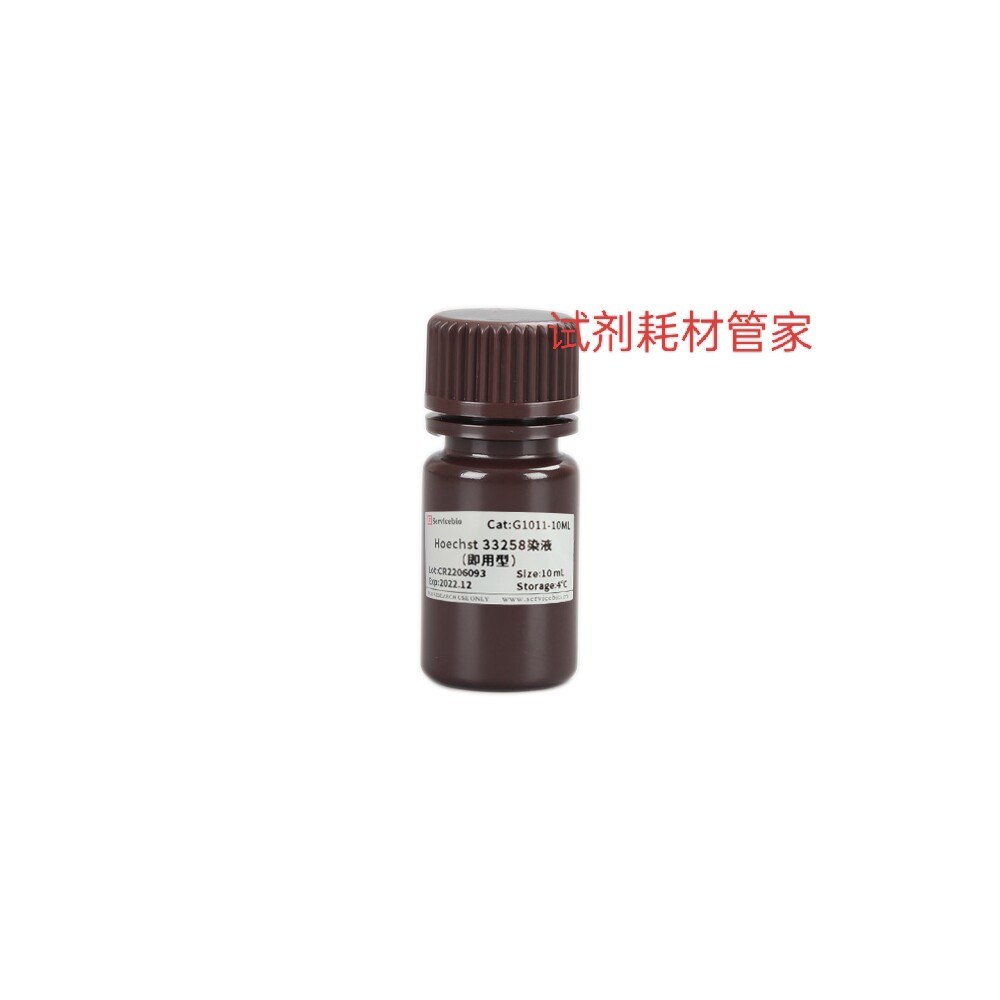 Hoechst 33258染液(即用型)用于细胞/组织的细胞核染色 荧光/流式