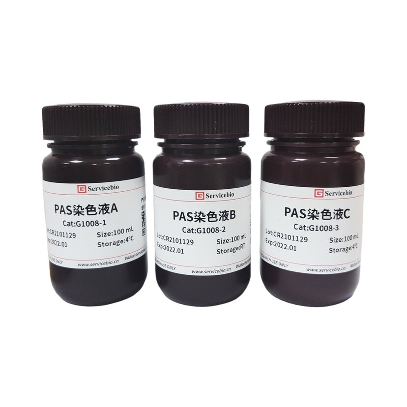 Servicebio糖类染液 PAS染液过碘酸雪夫染色适用糖原和多糖类物质