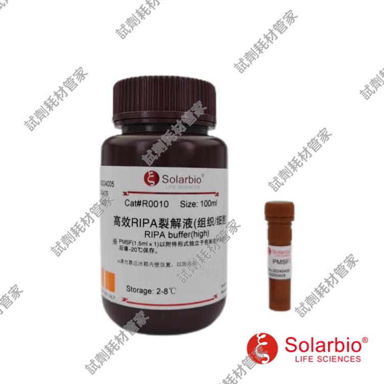 高效RIPA裂解液(组织/细胞) RIPA buffer(high) 蛋白提取试剂盒