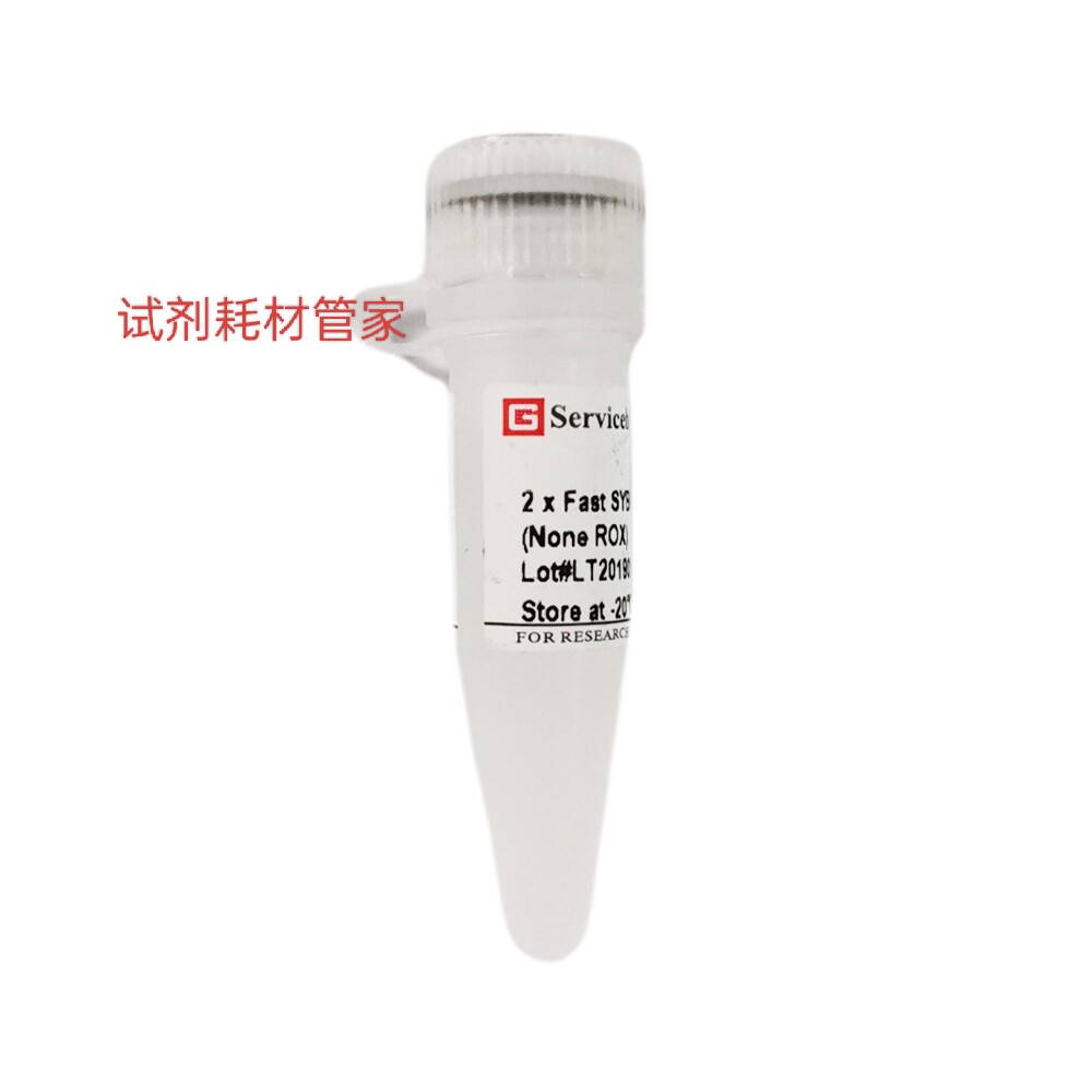 快速染料法SYBR Green qPCR预混液（2&times;，无ROX）基因表达量分析
