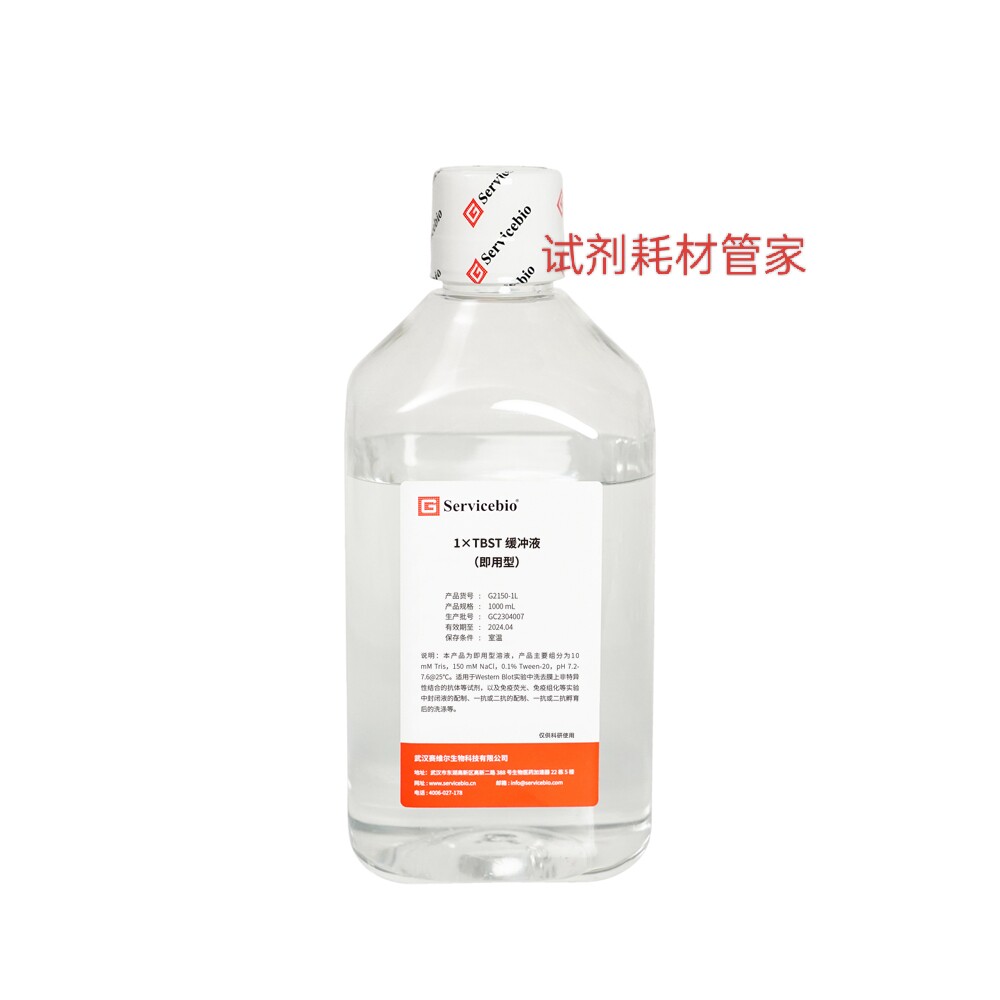1&times;TBST缓冲液（即用型）用于WB实验，免疫荧光/免疫组化 12瓶/箱