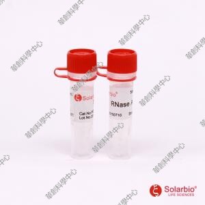 RNase A溶液(10mg/ml)Ribonuclease A,RNase A Solution(10mg/ml)