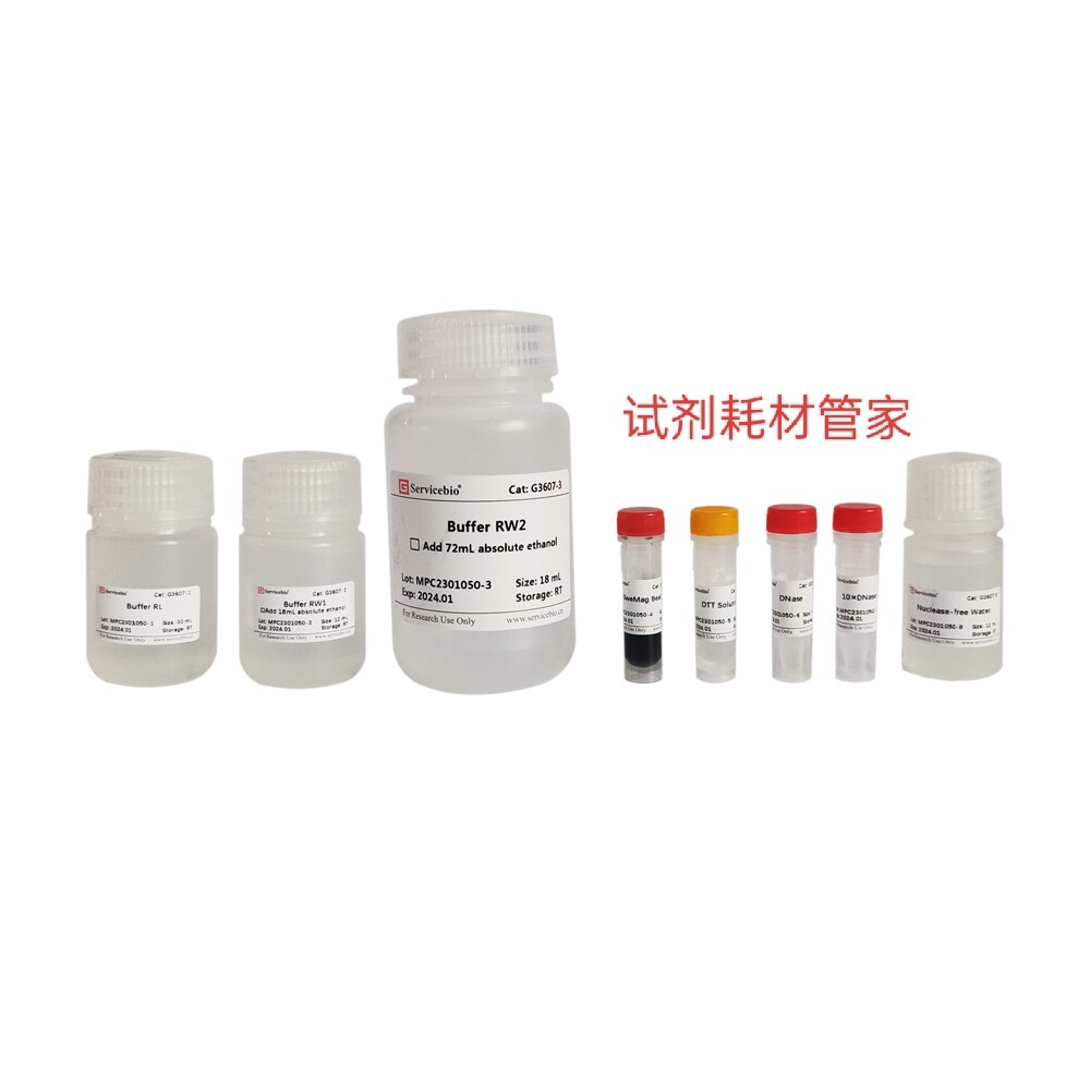 磁珠法动物组织/细胞RNA提取试剂盒 提取高纯度RNA 不含苯酚氯仿