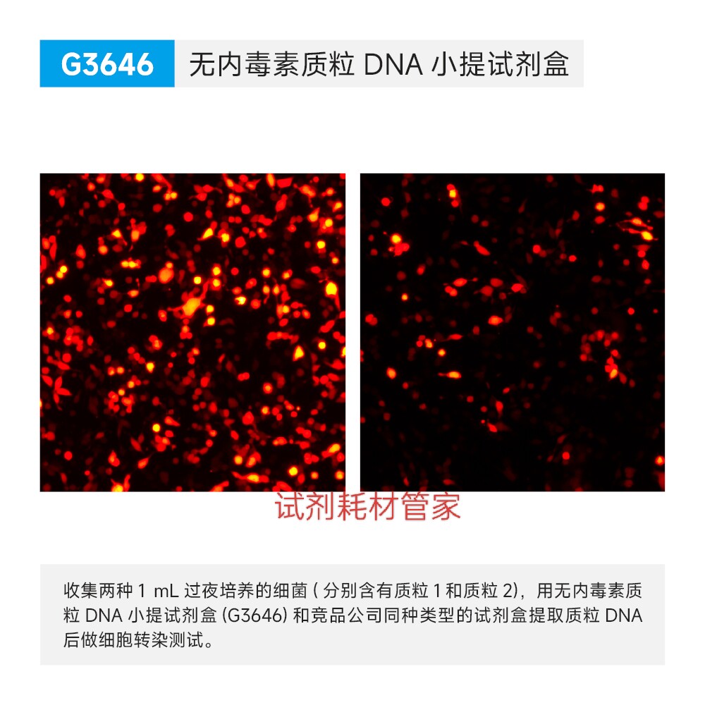 柱式法 无内毒素质粒DNA小提试剂盒 50T从菌液提取高纯度质粒DNA