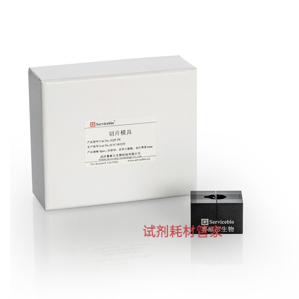 切片模具 矢切 用于小鼠脑 切片厚度1mm 固定脑组织 精细切片定位