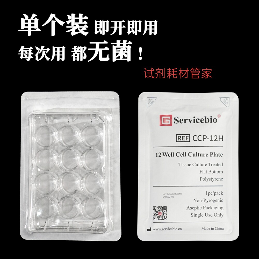 细胞培养板(12孔板/TC处理/单片装)用于贴壁细胞和半贴壁细胞培养