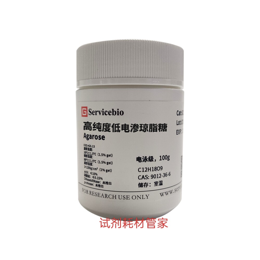 高纯度低电渗琼脂糖(Agarose)用于配制核酸分析凝胶 DNA或RNA电泳