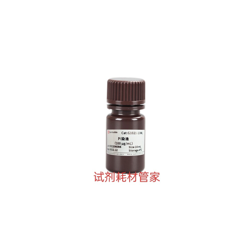 PI染液 碘化丙啶 与DNA强力结合释放红色荧光 对DNA或细胞核染色