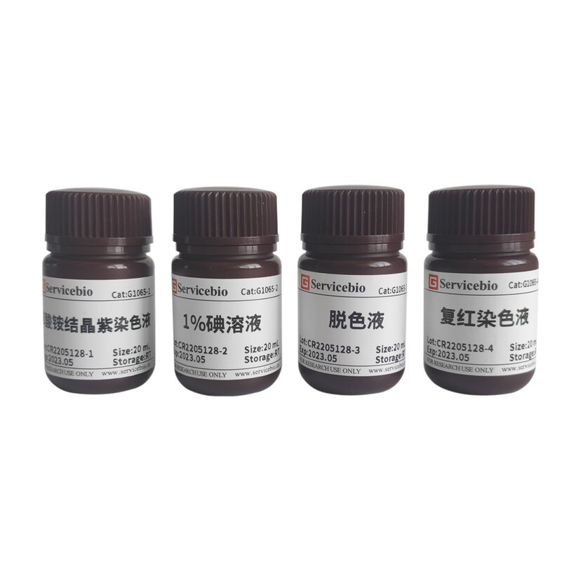 Servicebio微生物类染液 革兰氏染色液 区分革兰氏阳(G+)和阴(G-)