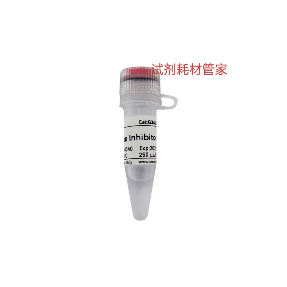 RNA酶抑制剂(猪源)RNase Inhibitor用于cDNA合成/RNA转录蛋白合成