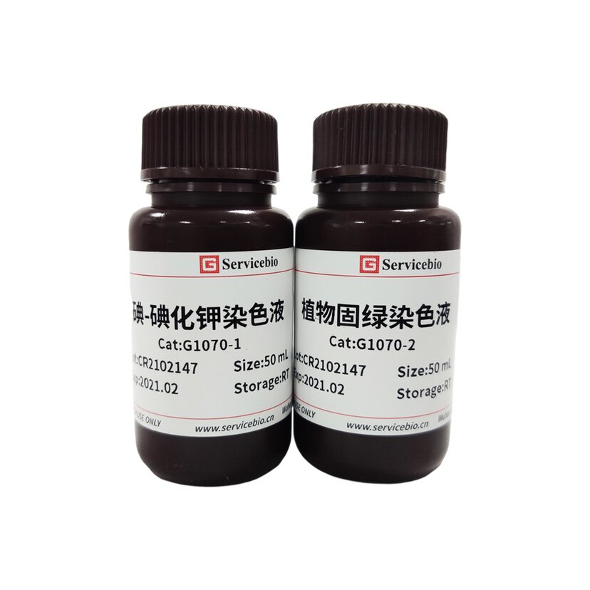 Servicebio糖类染液碘-碘化钾染液 碘-碘化钾+固绿 适用淀粉 花粉