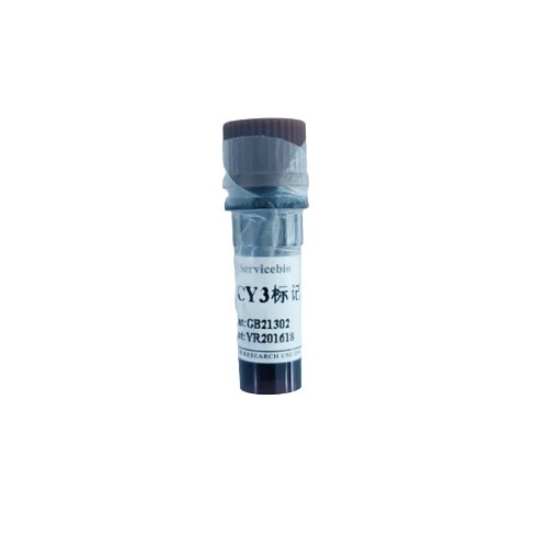 Servicebio Cy3,FITC标记的山羊抗大鼠IgG用于荧光团标记检测分子