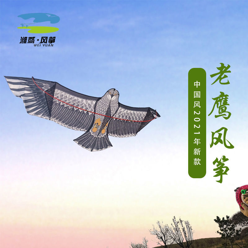 Weifang Eagle Kite Front Brace Eagle Grassland Eagle Golden Eagle Giant Eagle Scares Eagle Steel Eagle Child Hawk Kite Wire Wheel-Taobao