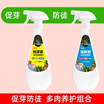 Kanamadol multimeat plant Yousprouts Sprout Short Fat Vegan Anti-Apostle Long Combinations