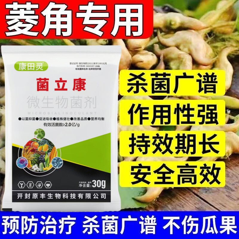 急救菱角病害全攻略!白绢病褐斑病黄叶烂根怎么治?-厨余发酵剂-淘宝百科网