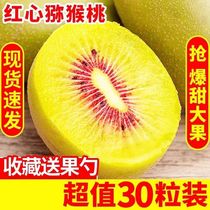 (Sucré inclus) Kiwi coeur rouge Sichuan Pujiang 30 morceaux de fruits frais de saison prêts à cueillir la boîte entière de saison