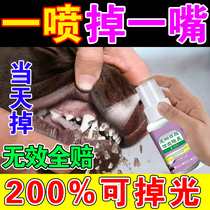 Dog dental calculus softener remover artifact quick-acting cleaning dogs bad mouth dissolves oral calculus mouthwash