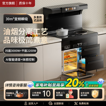 New Marsman Ya Time Integrated Stove All-In-One Household Steaming and Baking Oven Disinfection Cabinet Induction Cooker Dual Stove Inverter