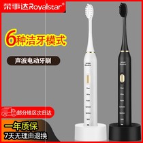 (Welfare Fans Exclusive) Toothbrush Sonic Lovers SOFT HAIRBRUSH WATERPROOF RECHARGEABLE