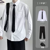 Комплект, рубашка, галстук, штаны, 3 предмета