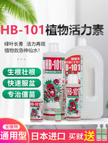 HB101植物活力素生长素通用营养液鲜花保鲜剂花肥绿植多肉月季盆