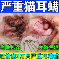 Cat Cat Ear Mite Special Drug Drop Ear Lotion Cleaning Ear Scale Mites Pussy Black Scale Softening Kitsch Redness Redness Special Treatment