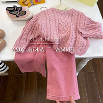Girls suit 2023 Spring New Ocean Sweet Pink Sknitted Sweater Grous Two Pieces of Two - Piece Set