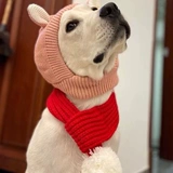 Собачья шляпы зимой, большой собачий лабрадор золотой ретривер причудливый заголовок, теплый щенок для домашних животных большие уши собаки