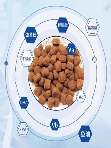 Бидо переговоры Мао Мао Пэт Леситин Богеи Тедди Дог Красивая Мао Мей Мао тамогана