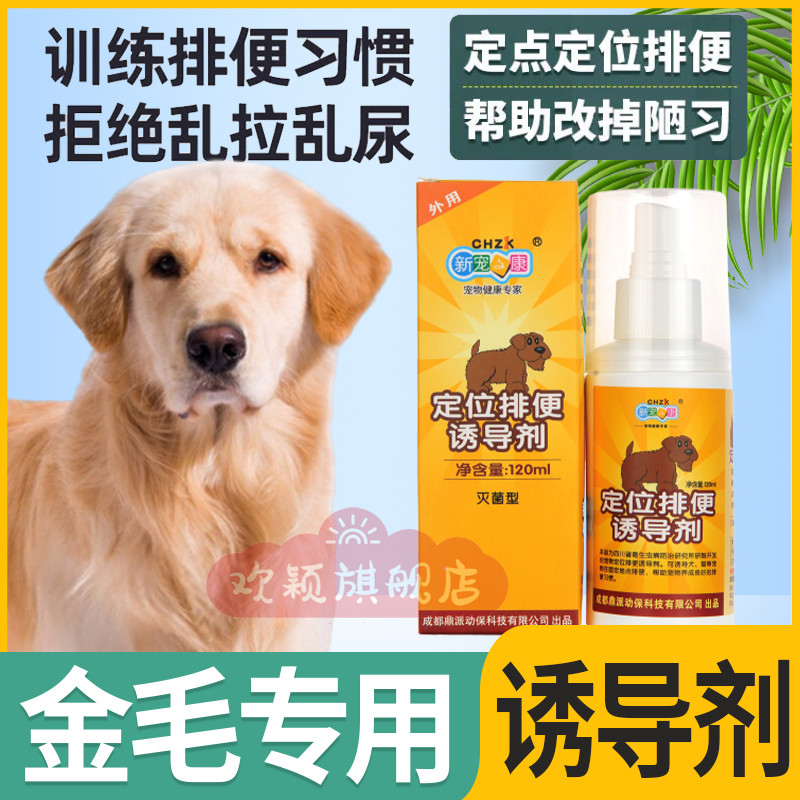 Golden Hair Special Dogs Upper Toilet Location Defecation Inducing Agent Bowels Guide Urine Agent Targeted Pull Poop Guide God
