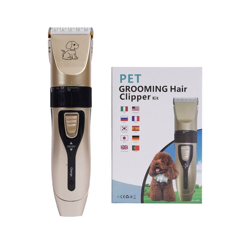 Бритье собаки, питометра