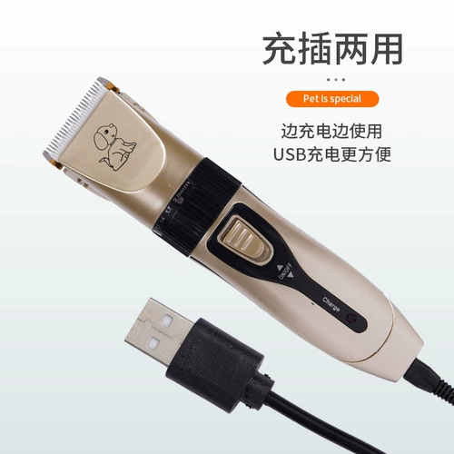 Бритье собаки, питометра