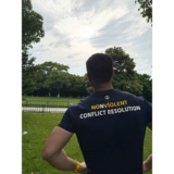 Быстросохнущая спортивная эластичная футболка для спортзала, в американском стиле, круглый воротник, короткий рукав