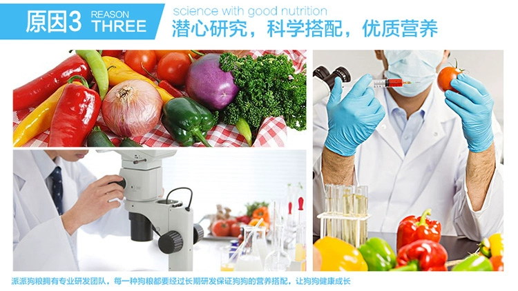 Pipai dành cho người lớn Dog Dog Hương vị thức ăn cho chó 15kg Chó chăn cừu vạn năng vàng, Người chăn cừu Đức, Samoyed Teddy Thức ăn cho chó cỡ lớn và lớn - Chó Staples