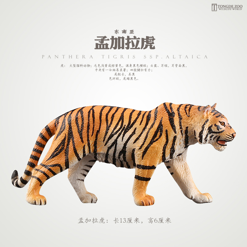 Authentic Realistic Animal Tiger Model Toy Tiger Siberian Tiger Bengal Tiger Model Boy Children's Toy Authentic Realistic Animal Tiger Model Toy Tiger Siberian Tiger Bengal Tiger Model Boy Children's Toy