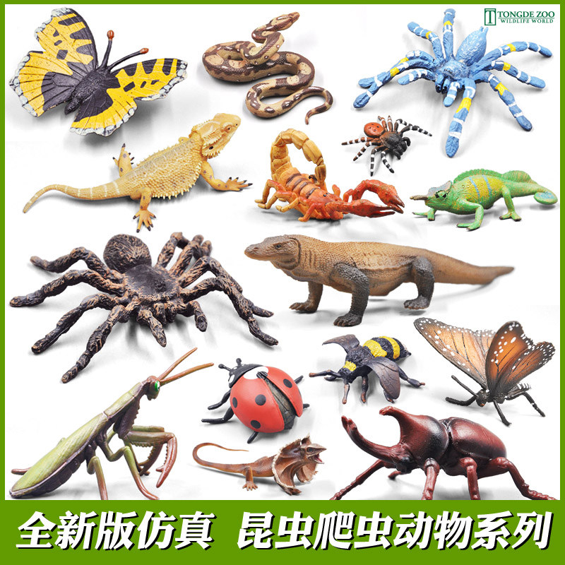 Simulation insect model Children's toy animal Butterfly bee Scorpion Grasshopper Mantis dragonfly Spider Lizard