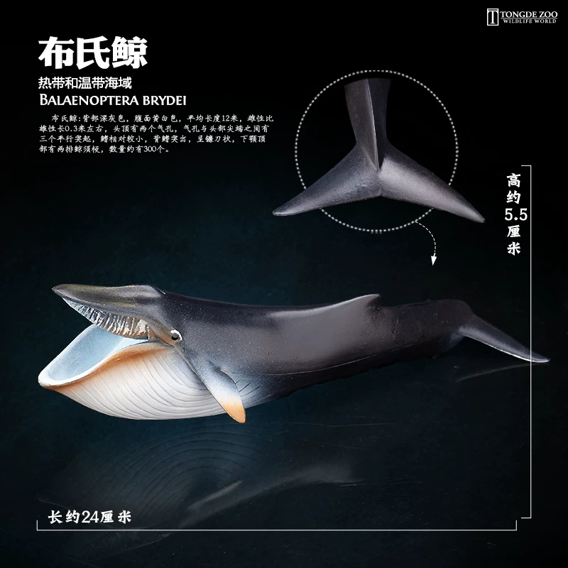 Игрушка, модель морского животного, акула, дельфин, пингвин