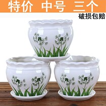 Ceramic Flowerpots Special size Home Multi-meat Interior Simple Flush Green Lori Living-room Chandelier with pallet special price