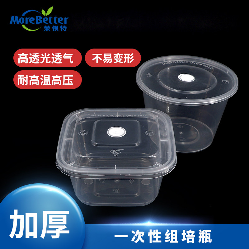 茉钡特生物一次性pp塑料组培瓶 耐高温耐高压 透气方形圆形组培盒