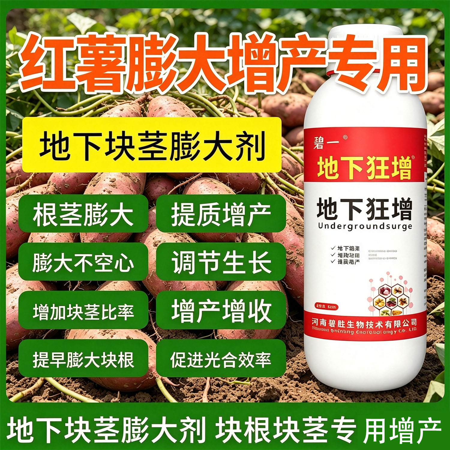 仙山酒家2022小店