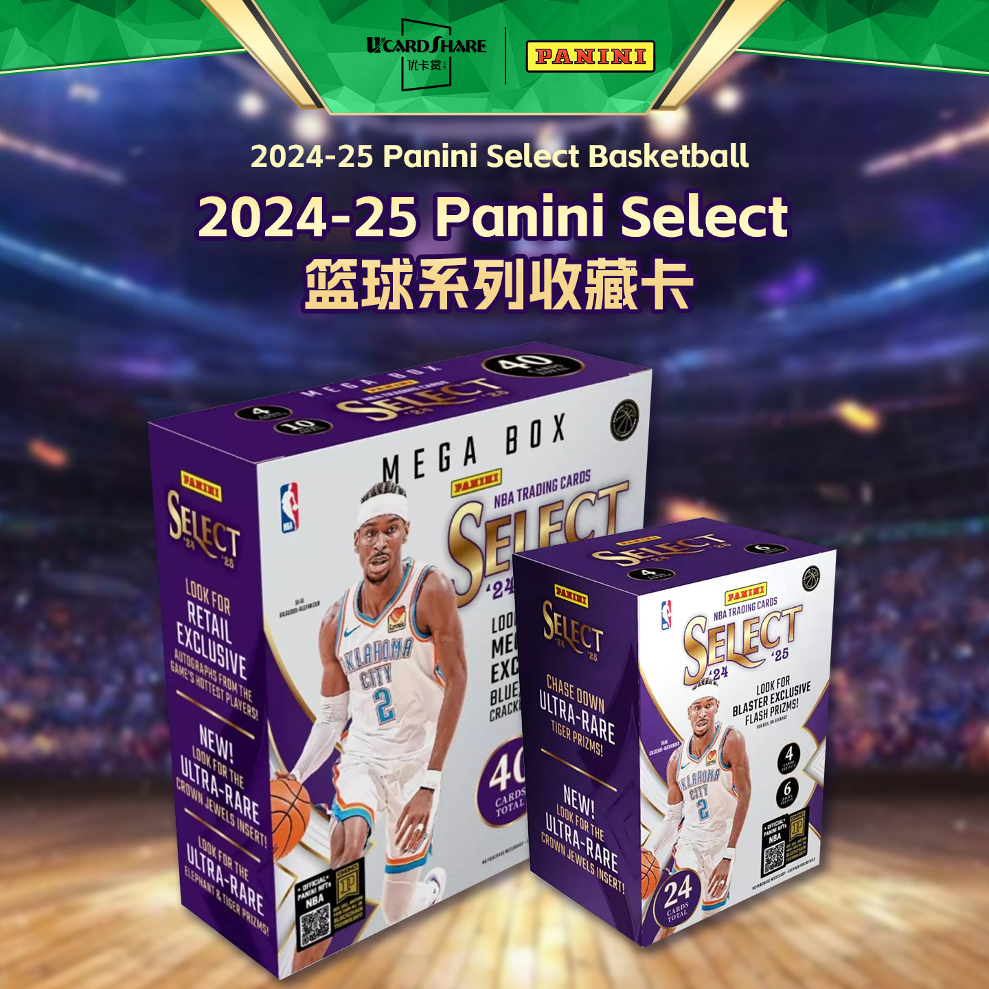 2024-25 パニーニセレクトバスケットボールNBAトレーディングカードメガプレミアムコレクションカードグレネードボックス