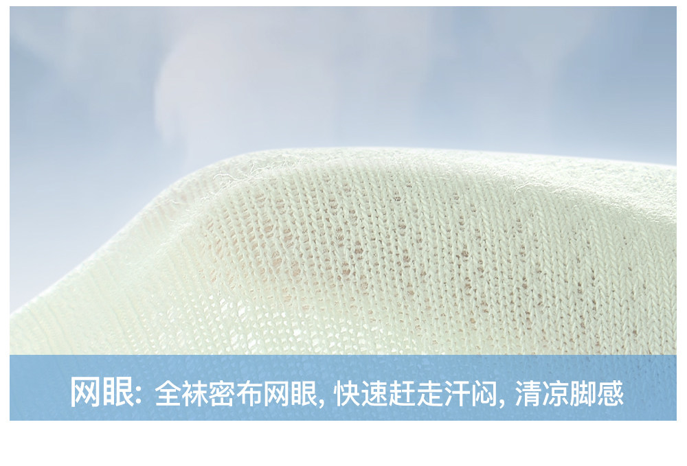 Secret World Mesh Ankle Socks