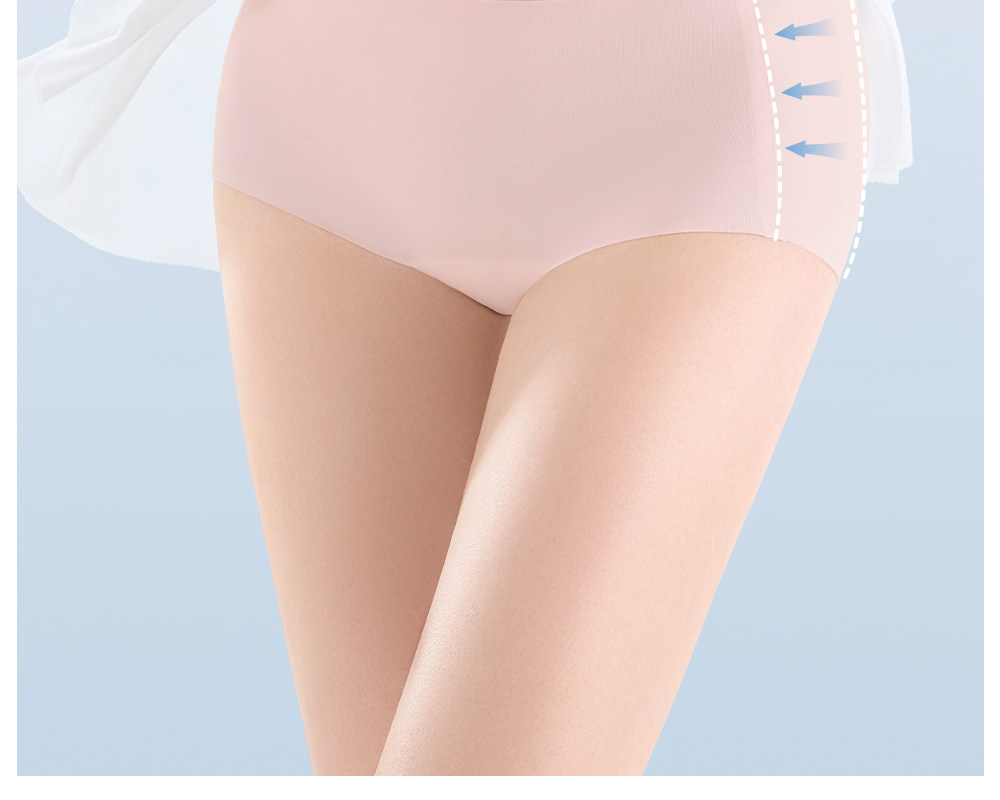 Secret World Seamless No-Show Briefs