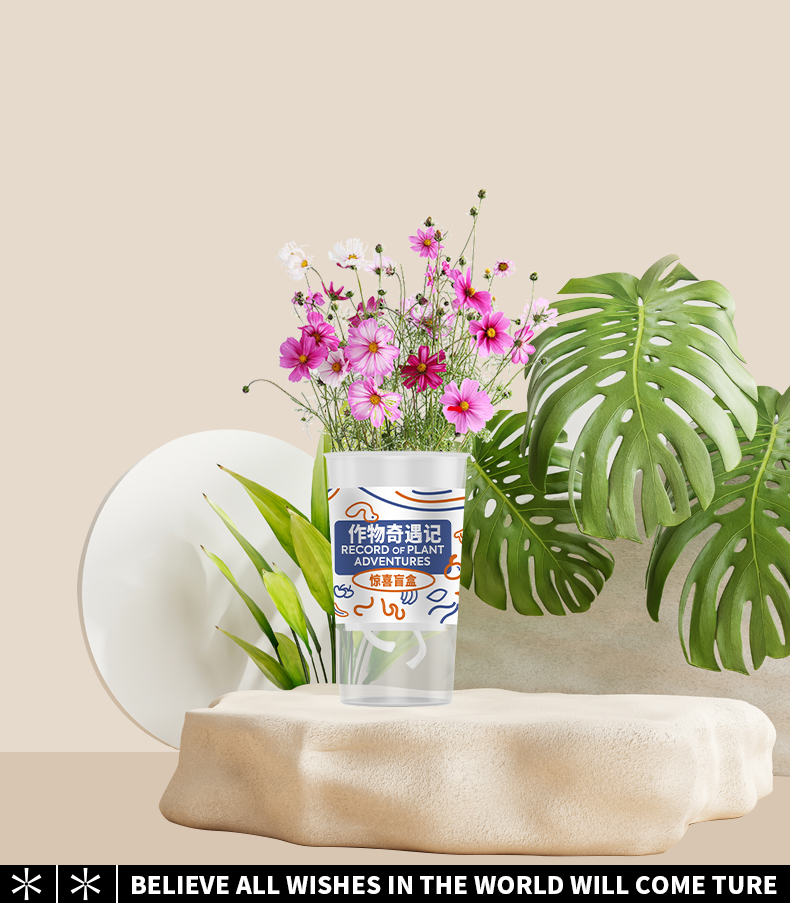 作物奇遇记 儿童种植盆栽植物盲盒 天猫优惠券折后￥9.9包邮（￥29.9-20）